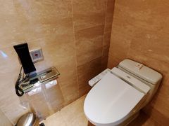 -广州白天鹅宾馆