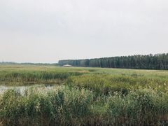 -白洋淀景区