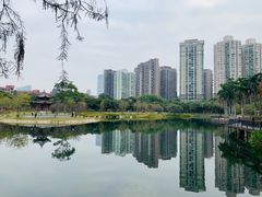 -四海公园(南山区)