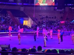 -俄罗斯国家大马戏团