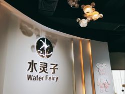 -水灵子·专注成人零基础