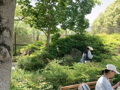 -宁波儿童公园(鄞州区)