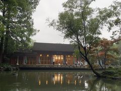-杭州植物园