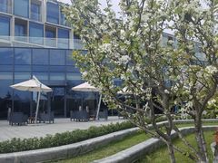-东方美谷JW万豪酒店·The lounge大堂吧