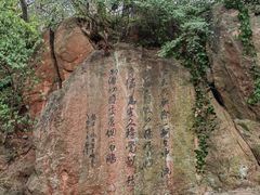 -幕燕滨江·燕子矶公园