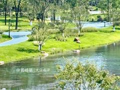 -后襄河公园