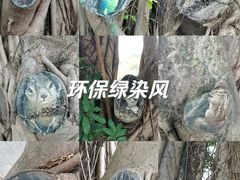 -人民公园(罗湖区)