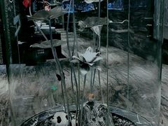 -红辣椒·川菜·火锅(张杨路店)