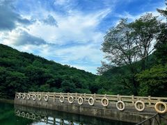 -龙道沟景区