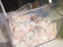 -狐狸和向日葵(北京路店)