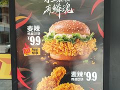 -麦当劳(开平潭江店)