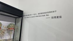 -玫瑰星座婚纱摄影轻奢定制(双井店)