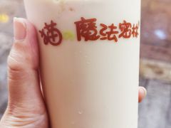 -猫的魔法密林(衣裳街店)