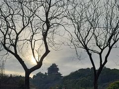 -阅江楼风景区