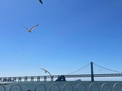 -星海广场