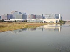 -春花秋色城市公园