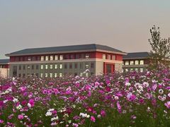 -中央民族大学