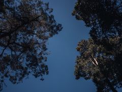 -寂照庵