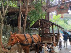 -长鹿旅游休博园