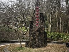 -王借岗森林公园