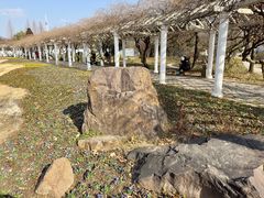 -苏州上方山国家森林公园