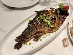 -高玛纳驴肉火烧(河间总店)