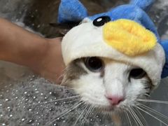 -听TA说宠咖·宠物生活馆(天韵水岸店)