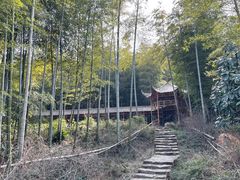 -宜兴龙背山森林公园