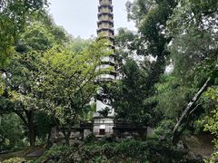 -西泠印社