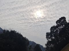 -桃花岭景区