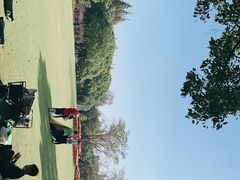 -上海滨江森林公园