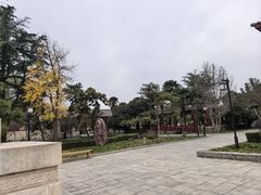 -洛阳古墓博物馆