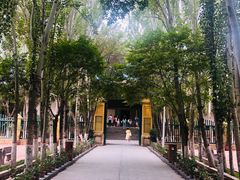 -艾提尕尔清真寺