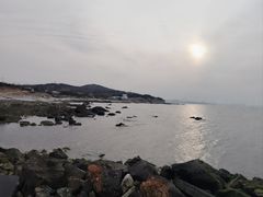 -养马岛旅游度假区