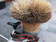 -黄连大头华烧鹅店(大良店)