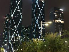 -深圳星河丽思卡尔顿酒店