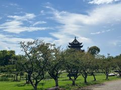 -上海海湾国家森林公园