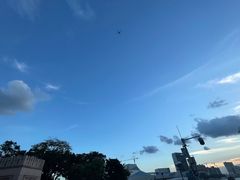-洲头咀公园