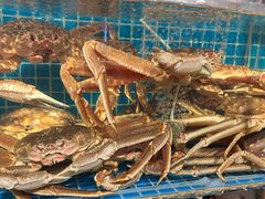 -震海贝烤贝·民俗特色店(延吉总店)