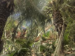 -呀路古热带植物园