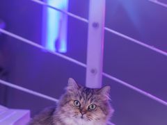 -极木²邸 人与宠物·互动社区