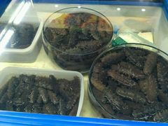 -岳各庄批发市场(西四环中路店)