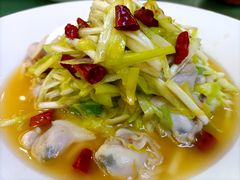 -苏启渔港(云南北路店)