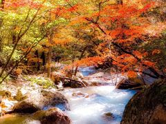 -丹东天桥沟景区