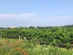 -北京天湖会议中心