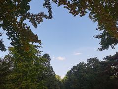 -香山公园