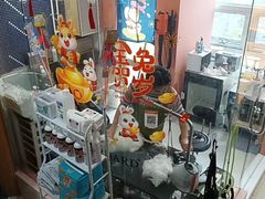 -车接车送·寄养洗护·德文猫舍(大宁店)