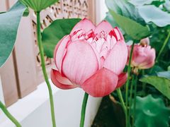 -龙环葡韵住宅式博物馆