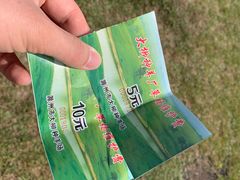 -大柳草原