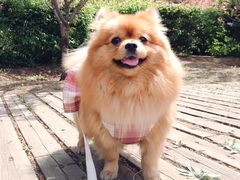 -长白岛森林公园